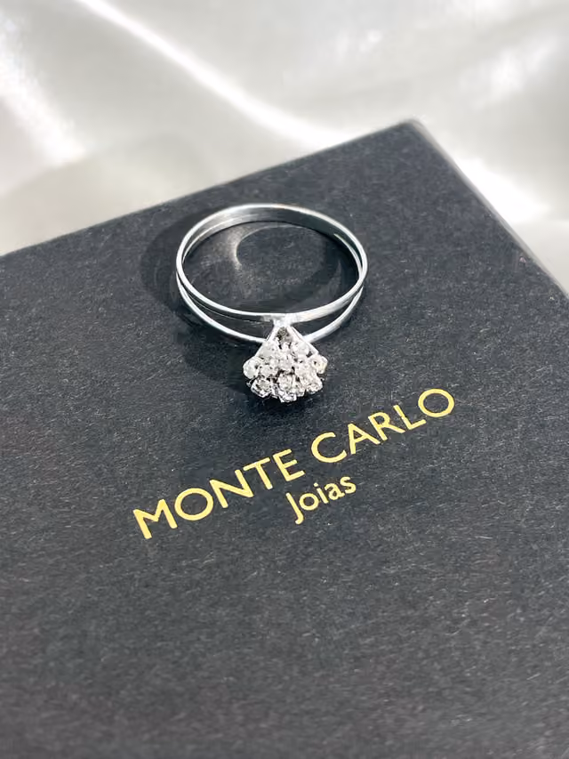 Anel Chuveiro Monte Carlo